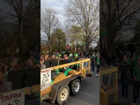 Chapel district elementary school 2023 st.patricks day