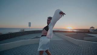Ay Palomita Rodrigo Gallardo - Coreografía Math