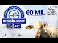 33º ENCONTRO CULTURAL DE LAÇO COMPRIDO DO CTG SÃO JORGE - PARAISO DO NORTE-PR