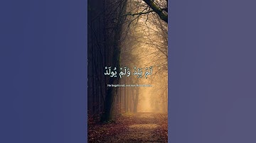 سورة الإخلاص بصوت ماهر المعيقلي #explore #اكسبلور #قرآن #quran