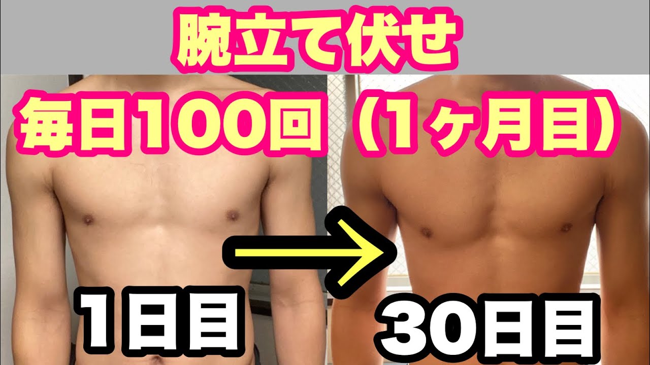 毎日 腕立て 100 回