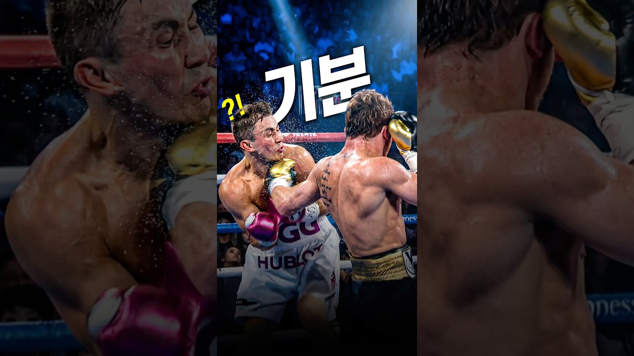 복싱 세계챔피언의 주먹을 맞은 기분