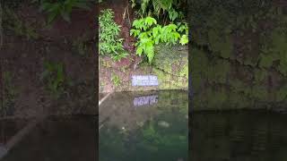 Sendang suci di Pos 4 #gunungmuria natas angin abiyoso #rahtawu #gunung #mistis #pendakian #pendaki