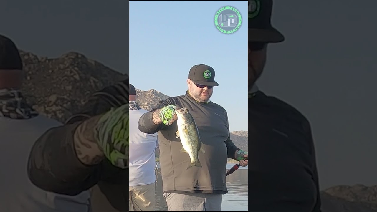 Whopper Plopper VS Bass 