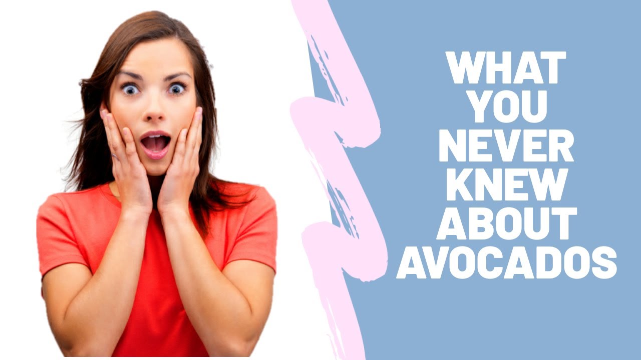 FIND OUT HOW DIFFERENT MEANS OF USING AVOCADOS TO BOOST ...