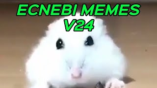 ECNEBI MEMES V24