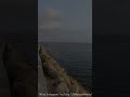 Script, Narration, Voice &amp; Video: Nabeel Ahmad, Music: Instagram / JamesMalikey