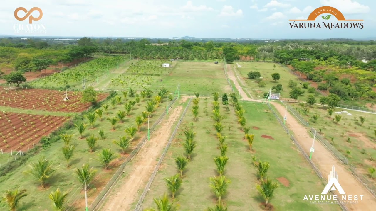 🌳Fully Managed Farmland ,📍Mysore Just 15 Mins From Mysore Ring Road