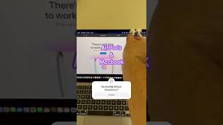 Airpods Hacki Macbookta Bu Özelliği Denediniz Mi?