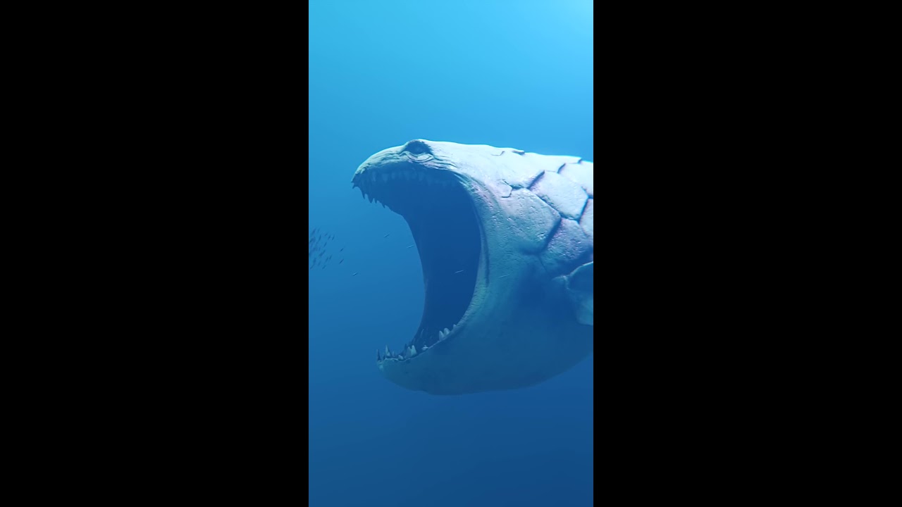 The Bloop Is Back 2022 Shorts Thebloop Deepsea