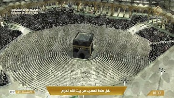 مغرب الاثنين|للشيخ #فيصل_غزاوي ١٦-٨-١٤٤٥هـ |من سورة فاطر