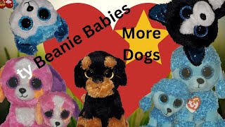 ty Beanie Baby Dog Collection Part 2 Boos and Buddies