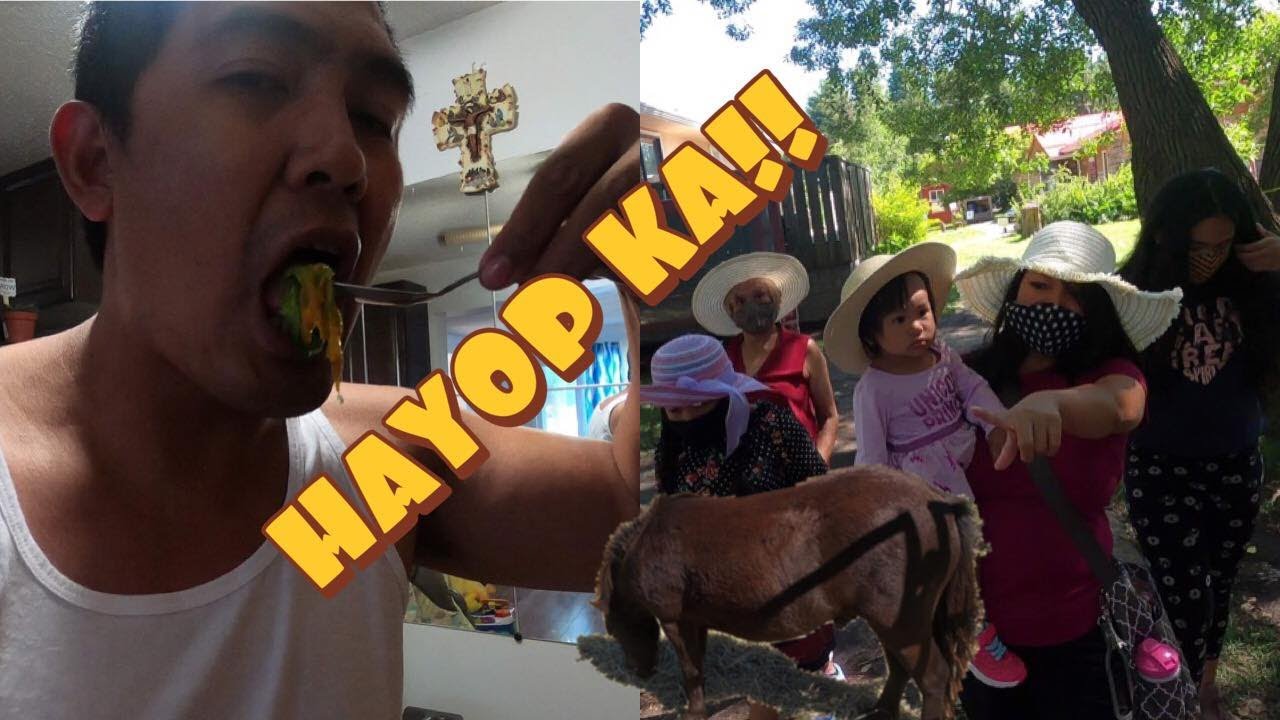 BEST PLACE IN EDMONTON YET?/HAPPY U PICK FARM