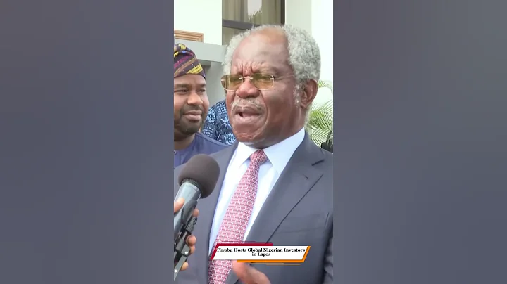 Tinubu Hosts Global Nigerian Investors in Lagos