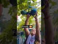 Pumpkin Harvest from Terrace! Gamle Mai Pumpkin Kaise Lagaye #youtubeshorts #shorts #shortvideo