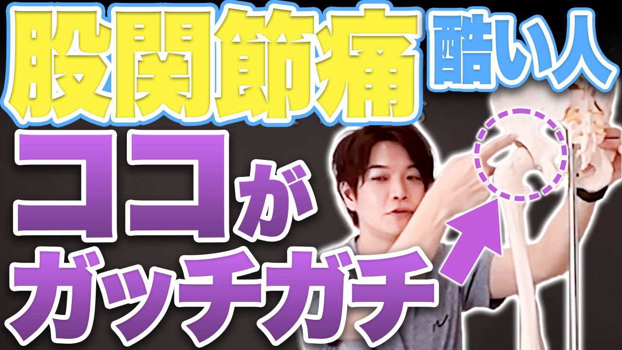 股関節痛酷い人必見！悪化する前にココを緩めてください！【ピラティス/解剖学/股関節】