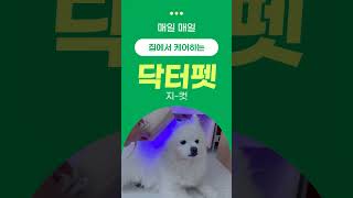펫큐어레이 지컷 강아지 고양이 피부병 치료기