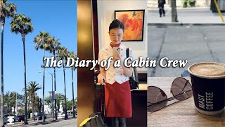The Flight Schedule of a Cabin Crew | Two North America Flights in July