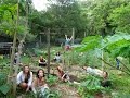 Life Is Good : Sustainable Living (National Geographic Documentary)