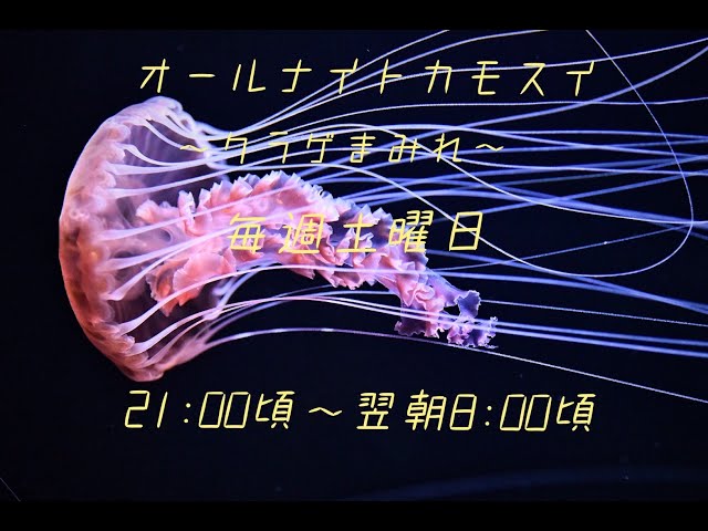 オールナイトカモスイ ～くらげまみれ～ #55 ブラックシーネットル