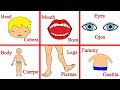 El Cuerpo Humano en Inglés y Español - Cuerpo Humano en Inglés - Partes del Cuerpo en Inglés