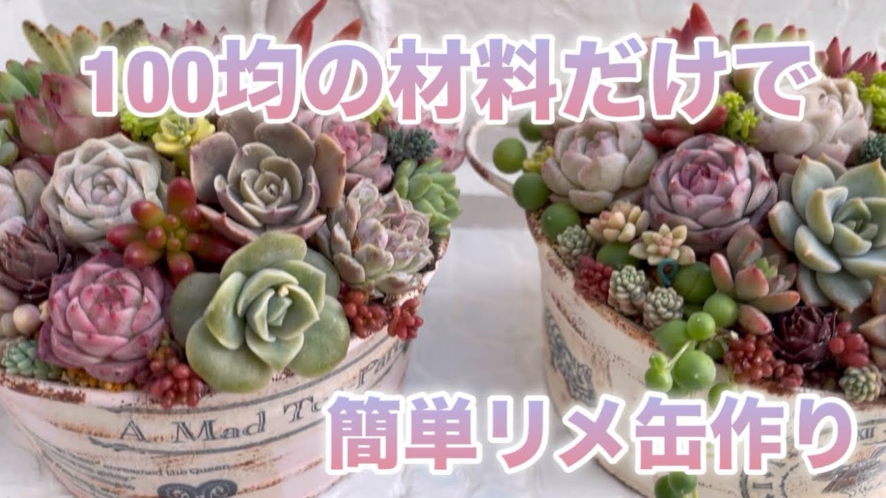 多肉植物】#25 100均の材料だけでリメ缶作り - YouTube