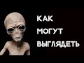 Как могут выглядеть ИНОПЛАНЕТЯНЕ