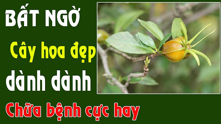 Hoa dành dành còn gọi là gì