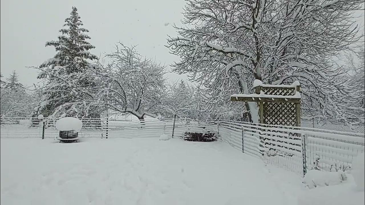 WinterStorm 2024 YouTube