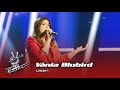 Vnia blubird  listen  prova cega  the voice portugal