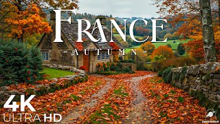 видео: Осенняя Франция 4K Ultra HD • Потрясающие кадры Франции, живописный фильм для релаксации картинка: Осенняя Франция 4K Ultra HD • Потрясающие кадры Франции, живописный фильм для релаксации