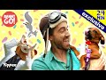 Perfect pet  danny go songs for kids  full episode  yippee kids tv