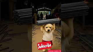 #cute#puppy#viral#youtube#raincoat 💝0 to 50k subscribers support karo dosto♥️