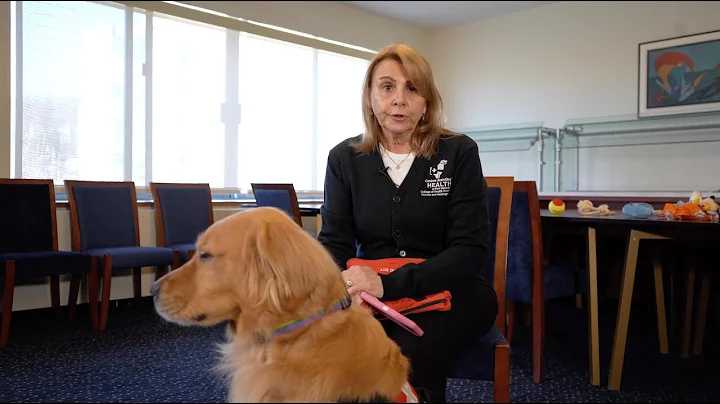 How Service Dogs Can Help with Everyday Tasks