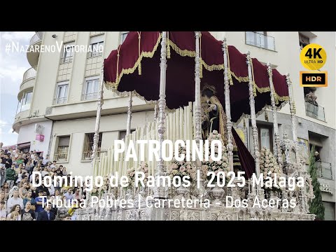 Fervorosa Hermandad y Antigua Cofradía del Divino Nombre de Jesús Nazareno de la Salutación, María Santísima del Patrocinio Reina de los Cielos, San Juan Evangelista, Santa Mujer Verónica y de la Santa Faz de Nuestro Señor Jesucristo