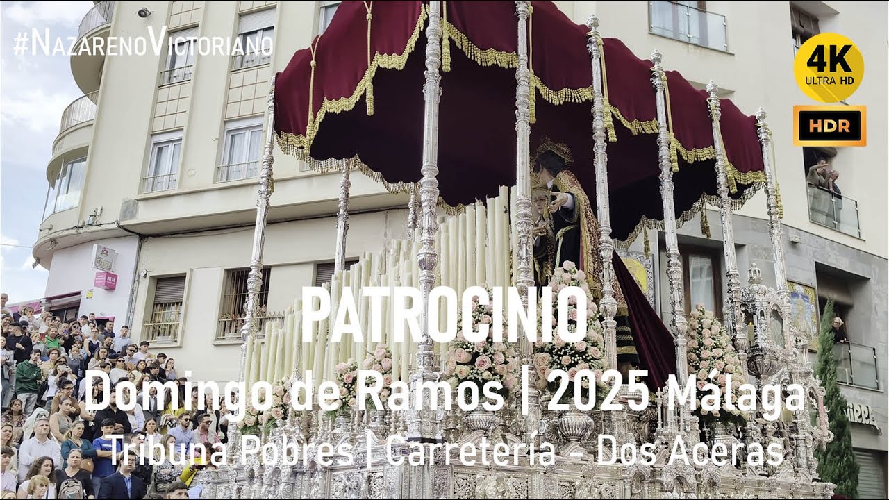 PATROCINIO (Salutación) | Tribuna de los Pobres - Álamos | Semana Santa Málaga 2025