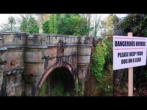 bridge dogs jump off suicide haunted