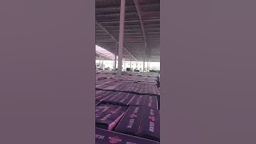 Walnut! How does the factory select and process walnuts?