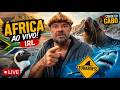 EXPEDIÇÃO AFRICA COM RICHARD RASMUSSEM DIA 6 AO VIVO - EM BUSCA DE ANIMAIS MARINHOS E LOJAS