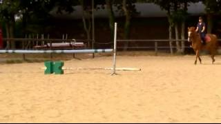 Teatime Obstacle 24092014