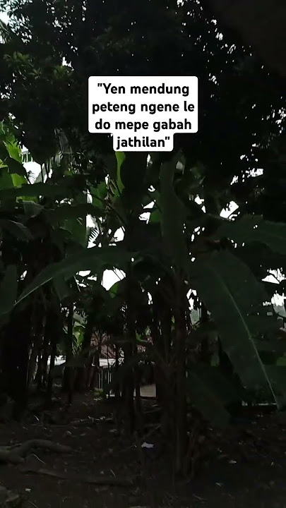 Pejuang beras SEMANGAT ketika cuaca tidak bersahabat !#petani #panenpadi #gabah #suasanapedesaan