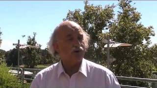Their Say - Ian Parmenter