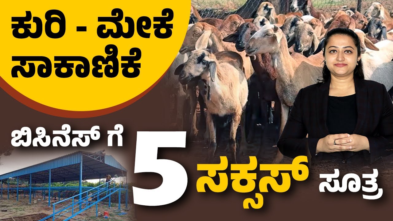 Goat & Sheep Farming Business In Kannada - Guide for Beginners Business Plan