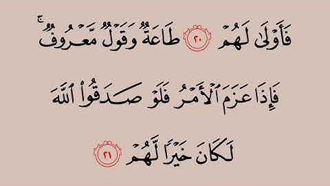 047 سورة محمد    محمد أيوب    القرآن هدى للمتقين