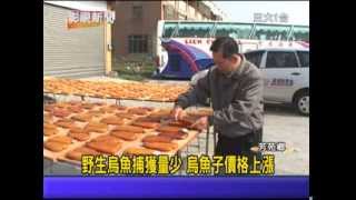 1030107 10野生烏魚捕獲量少 烏魚子價格上漲