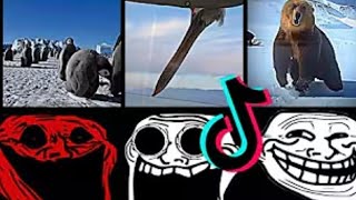 🥶🤯 TROLLFACE | TIKTOK...COMPILATION PART #1 🧊🔥