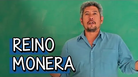 Quais são as características comuns a todos os indivíduos do reino monera?