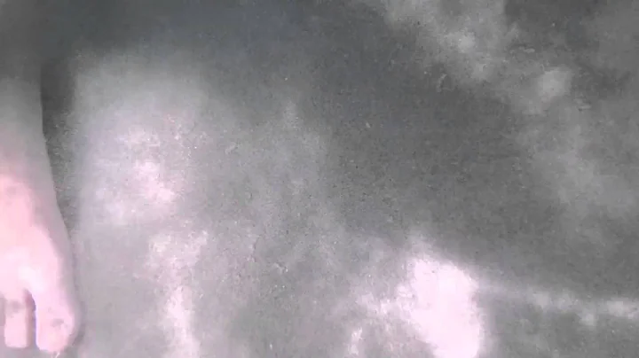 Fish between my legs 2011