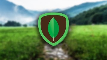 Curso de MongoDB en Español - Aprende bases de datos NoSQL