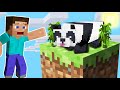 my PANDA in One Block Minecraft